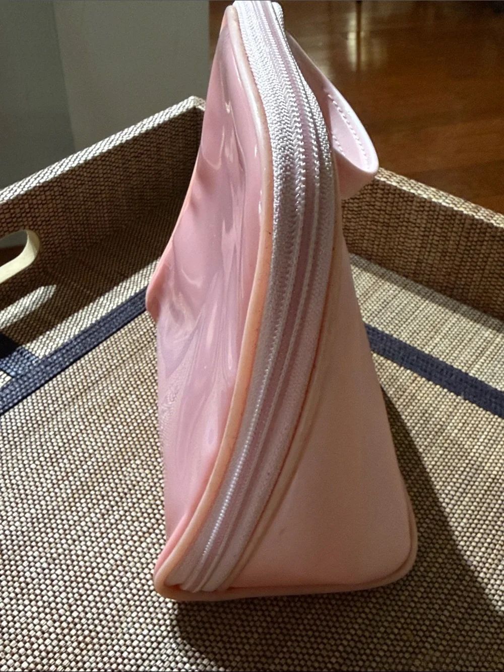 Christian Dior pardons Pink Cosmetic Pouch - Compact Travel Makeup Bag
